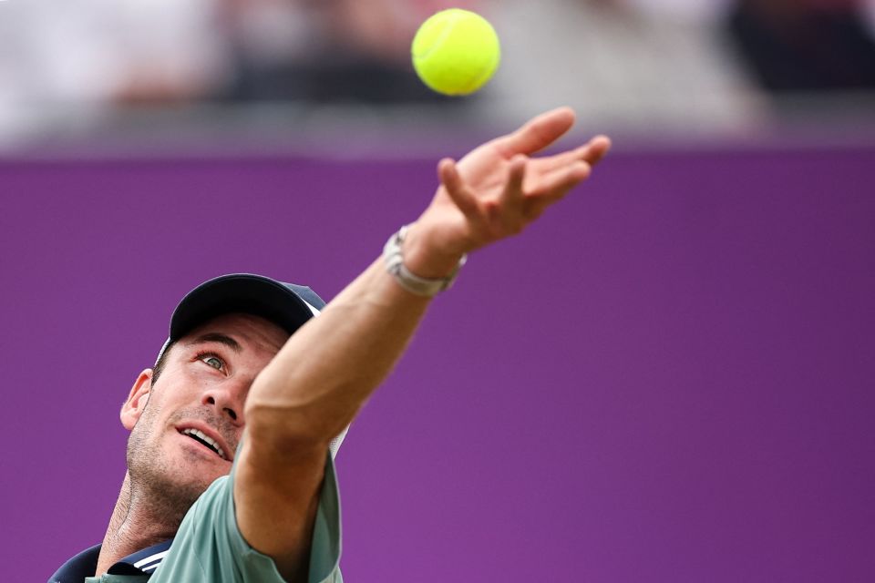 球迷的关注 球迷的关注